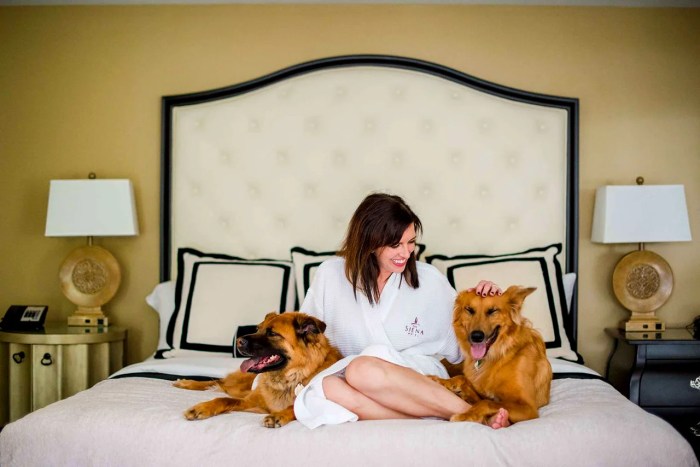 Penginapan pet-friendly